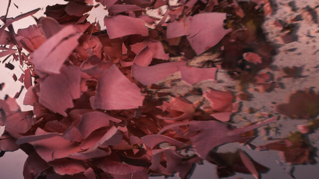 Çürümenin Estetiği: Sapkınlıkla Psikopolitik Bir Yüzleşme