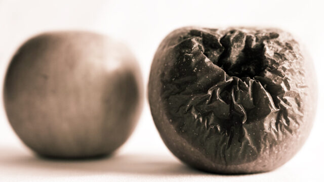 Kötülüğün Kurumsallaşması