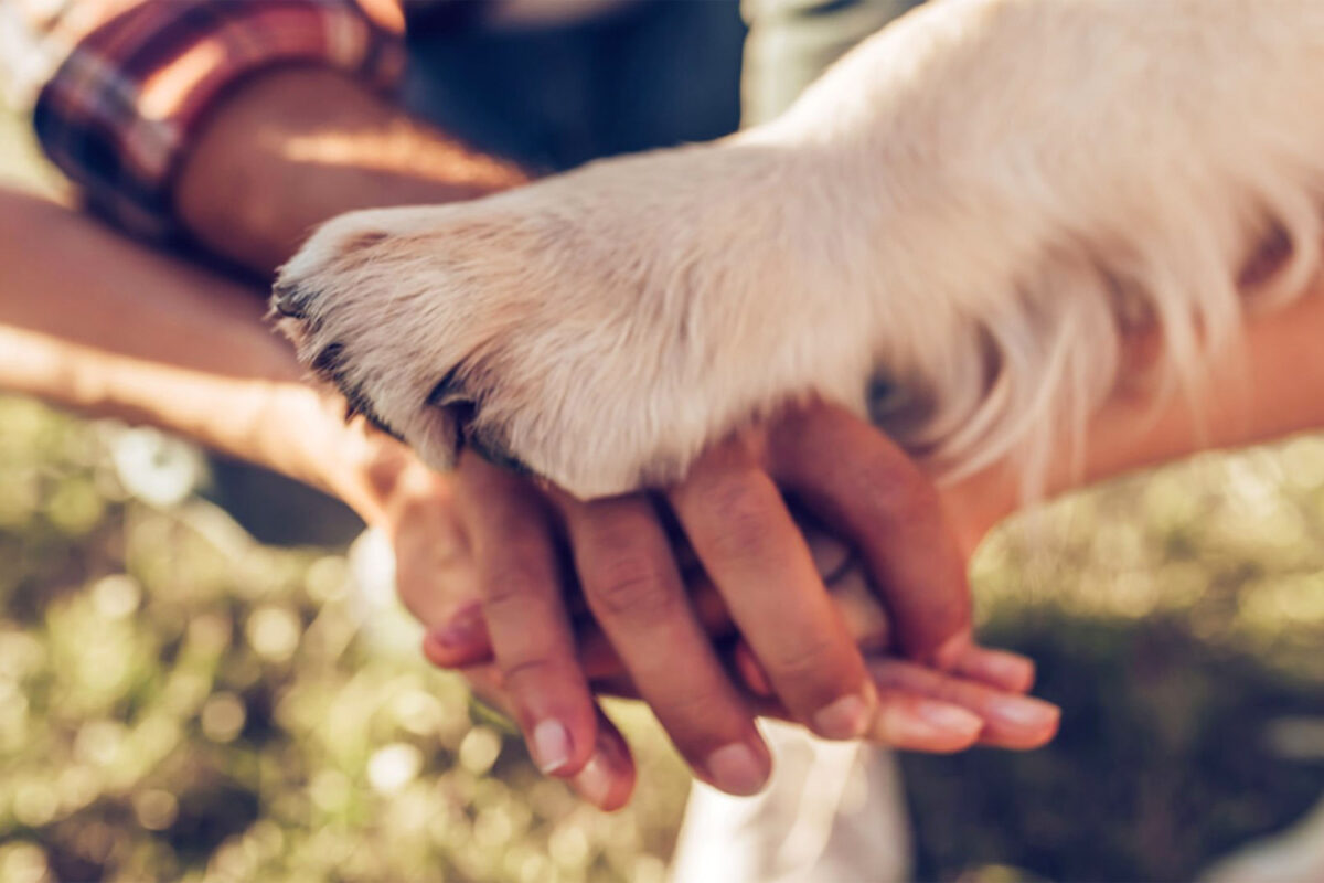 Yaşam Hakkı Ekseninde Örgütlenmek: Sermayenin Kentinde Yaşamın Direnişi Yaşam Hakkı Ekseninde Örgütlenmek: Sermayenin Kentinde Yaşamın Direnişi