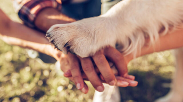Yaşam Hakkı Ekseninde Örgütlenmek: Sermayenin Kentinde Yaşamın Direnişi