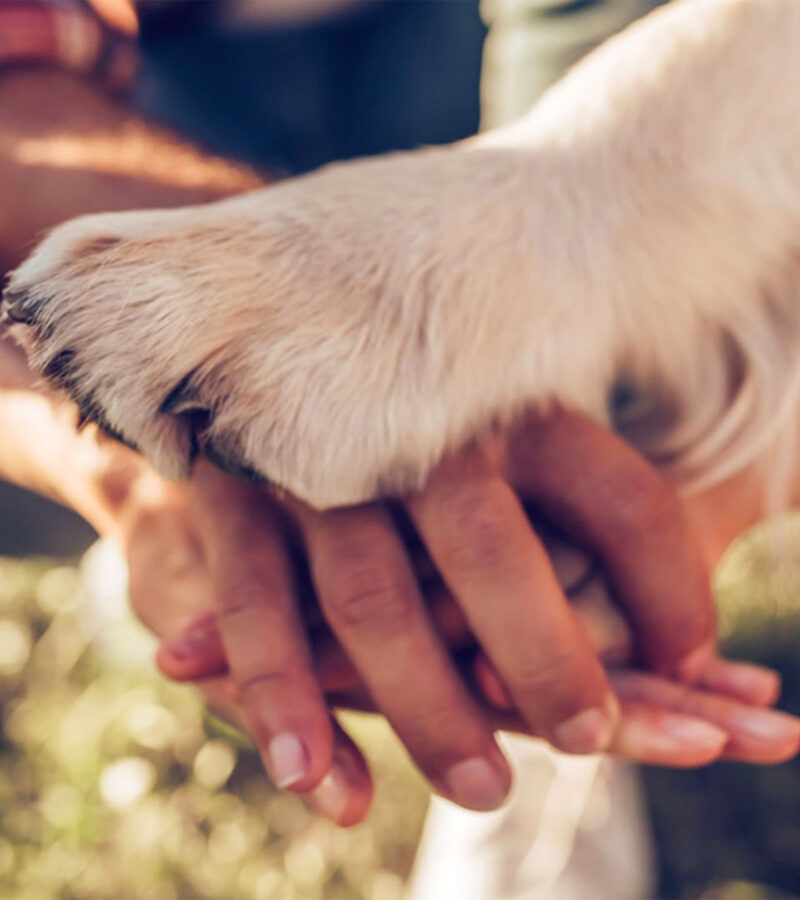 Yaşam Hakkı Ekseninde Örgütlenmek: Sermayenin Kentinde Yaşamın Direnişi