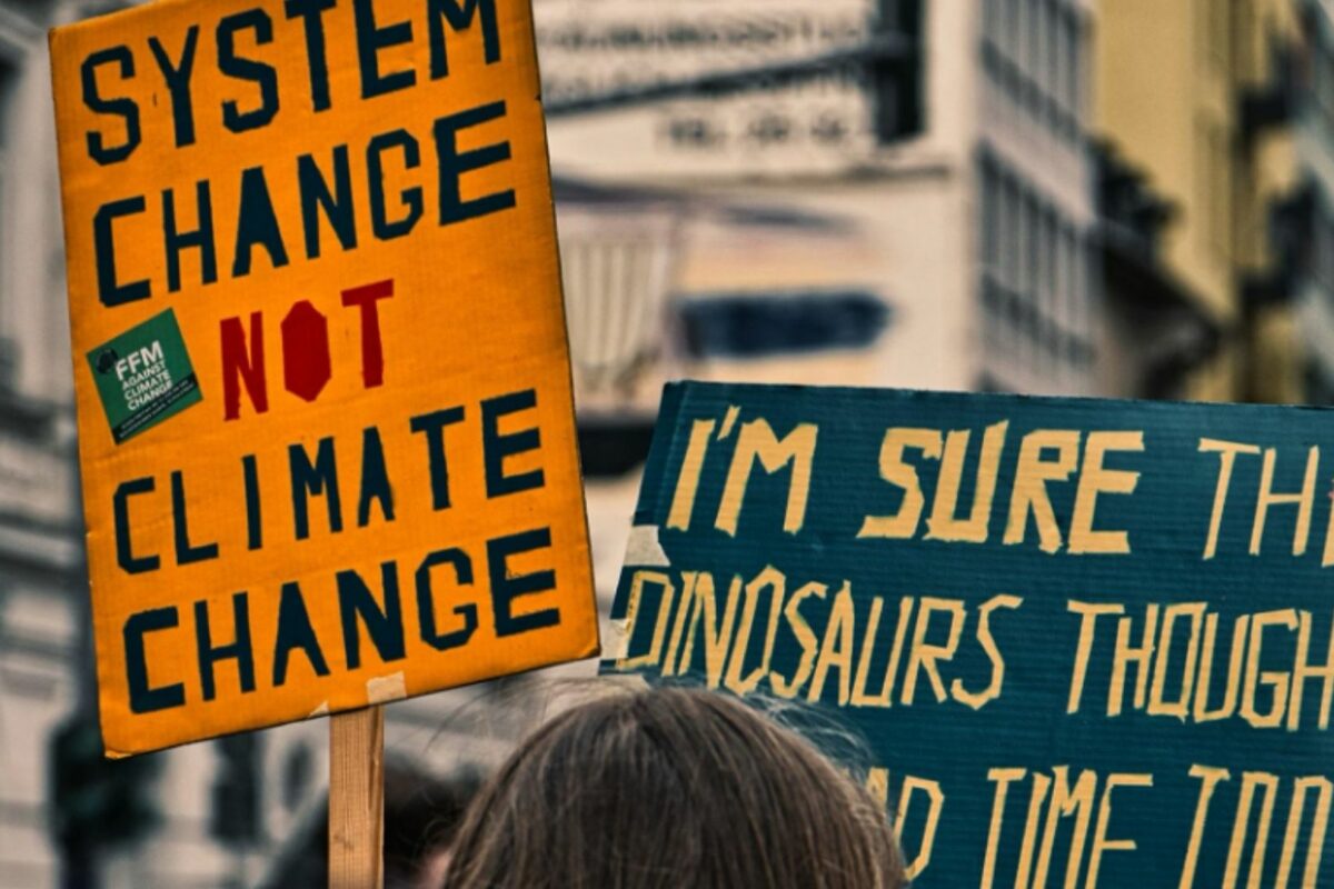 Kapitalizmin Ekolojik Krizi -1: İnkar, Ehlileştirme, Siyasetsizleşme