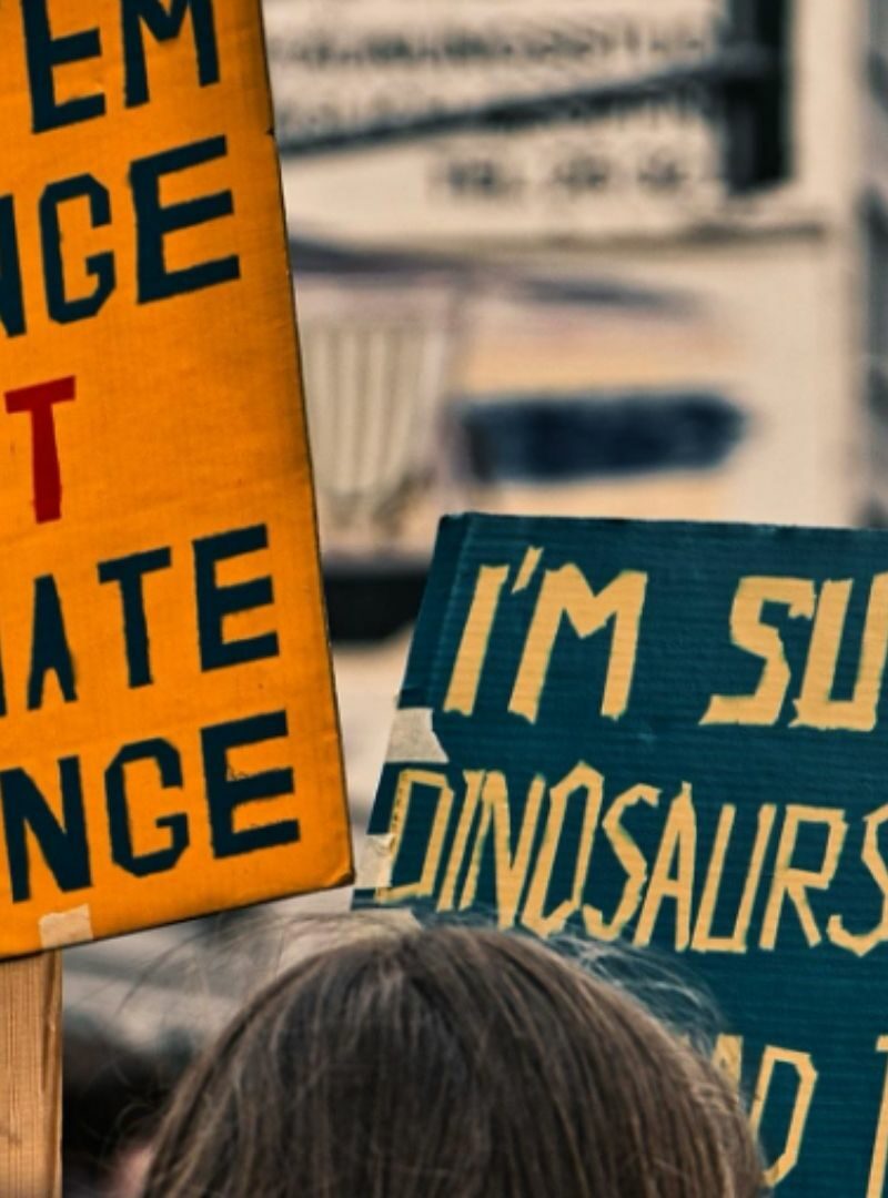 Kapitalizmin Ekolojik Krizi -1: İnkar, Ehlileştirme, Siyasetsizleşme